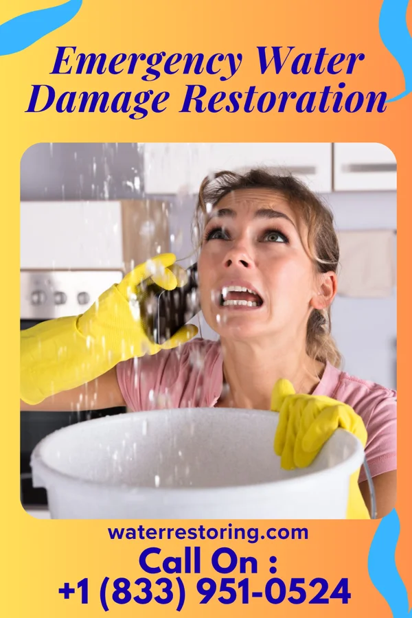Emergency Water Damage Restoration in Chevy Chase Section Three, MD