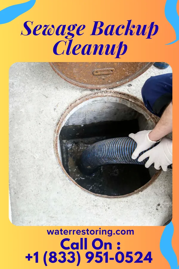 Sewage Backup Cleanup in Chevy Chase Section Three, MD