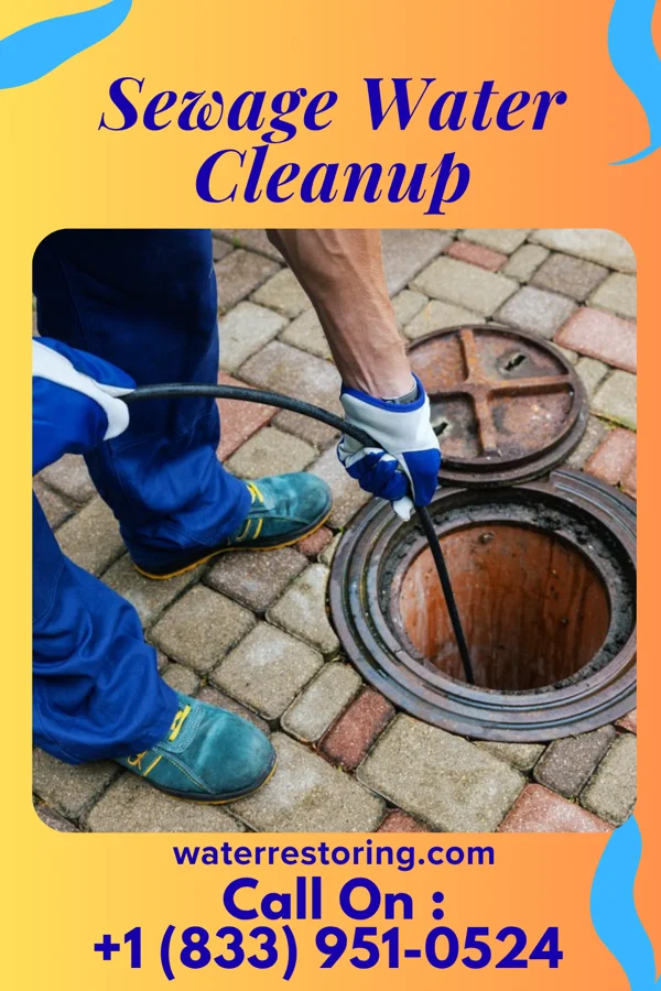 Sewage Water Cleanup in Chevy Chase Section Three, MD